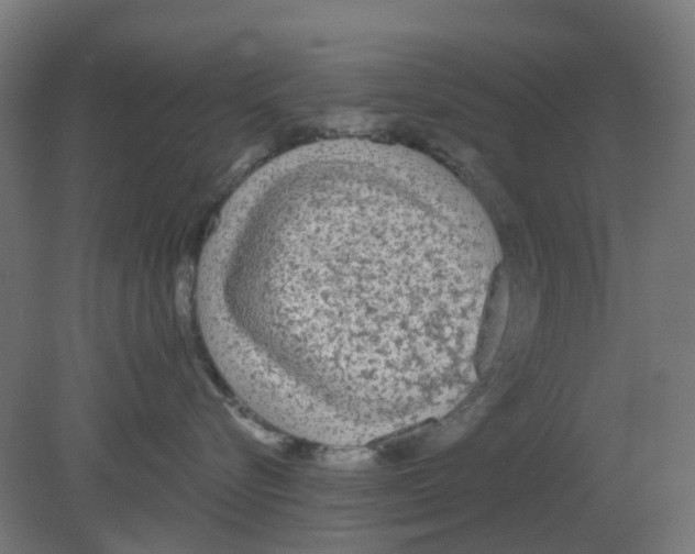 X0000080770576200701122058