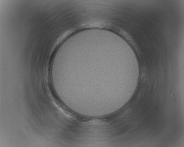X0000080770578200701122058