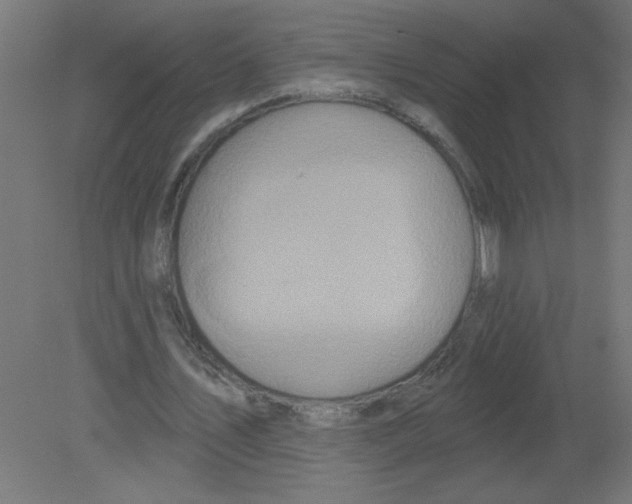 X0000080770579200701122058