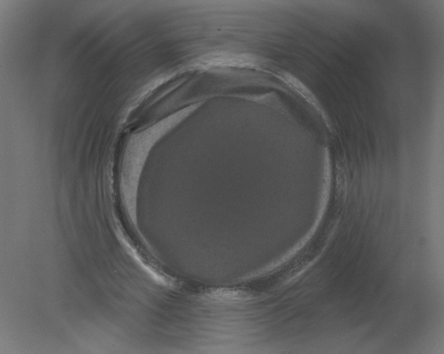 X0000080770581200701122058