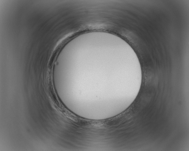 X0000080770583200701122058
