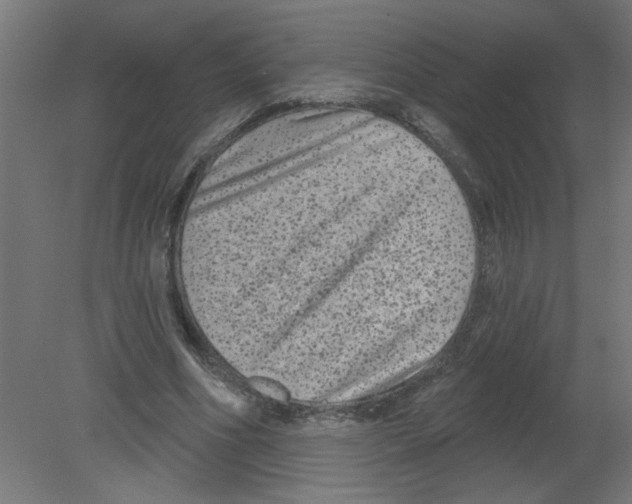 X0000080770586200701122058