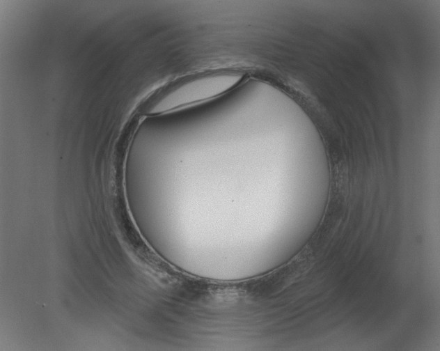 X0000080770587200701122058