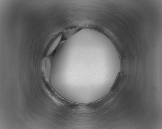 X0000080770589200701122057