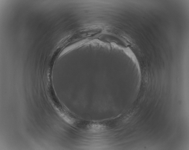 X0000080770590200701122057