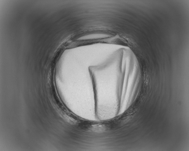 X0000080770591200701122057