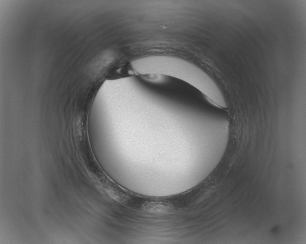 X0000080770597200701122057