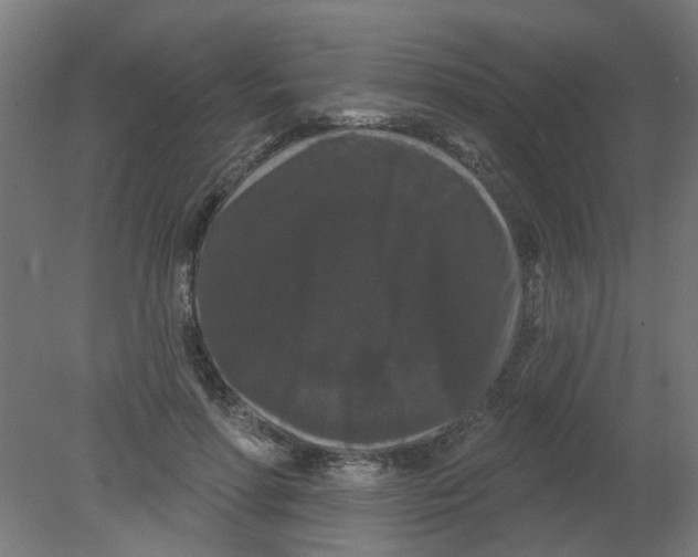 X0000080770598200701122057