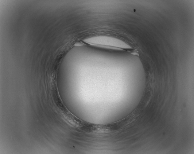 X0000080770601200701122057