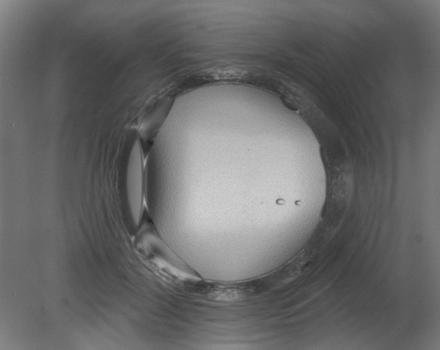 X0000080770604200701122057