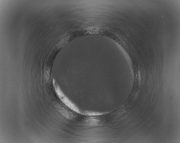 X0000080770610200701122057