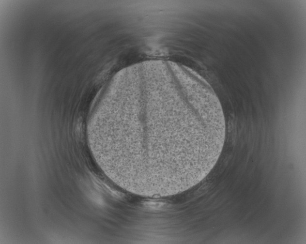 X0000080770614200701122057
