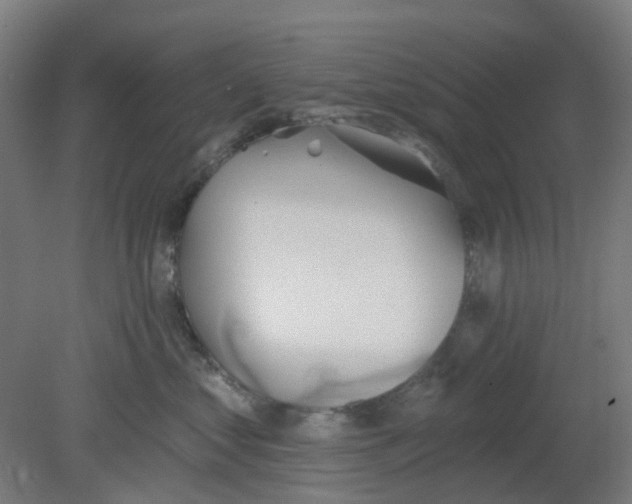 X0000080770621200701122057