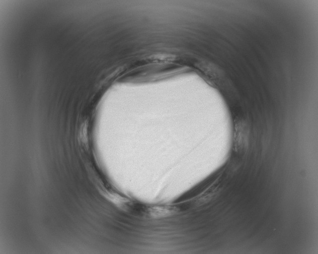 X0000080770623200701122057