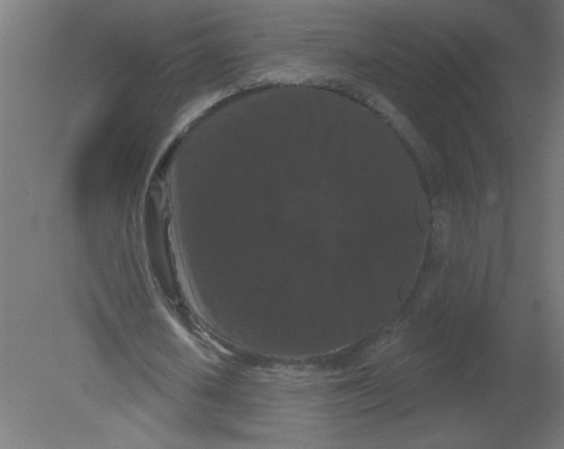 X0000080770626200701122056