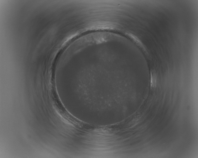 X0000080770627200701122056