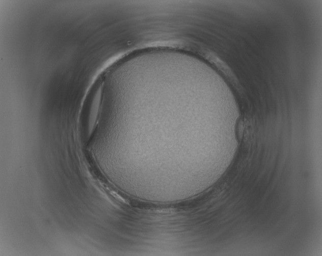 X0000080770628200701122056