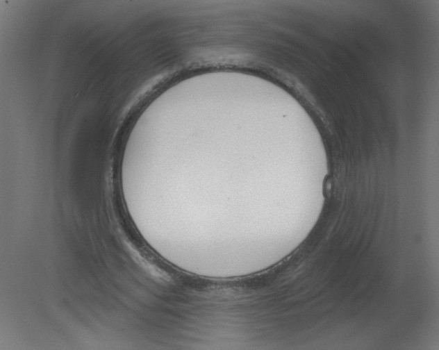 X0000080770629200701122056