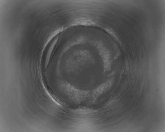 X0000080770630200701122056