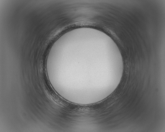 X0000080770631200701122056