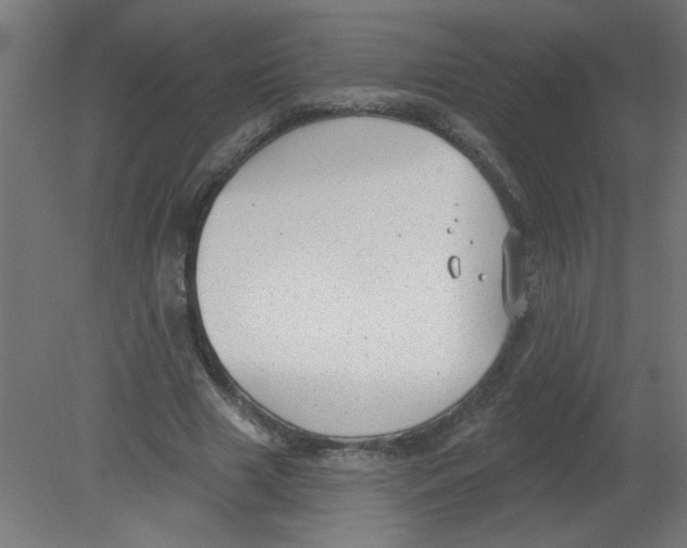 X0000080770633200701122056