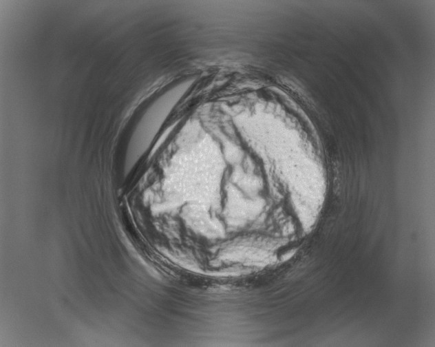 X0000080770634200701122056