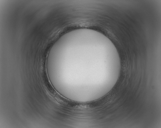 X0000080770639200701122056