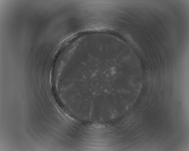 X0000080770640200701122056