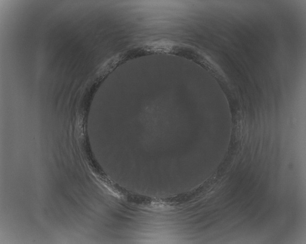 X0000080770641200701122056