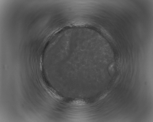 X0000080770644200701122056