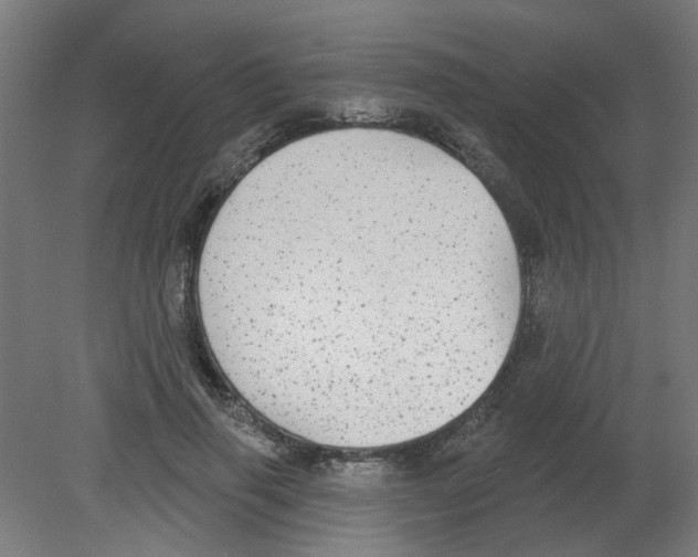 X0000080770645200701122056