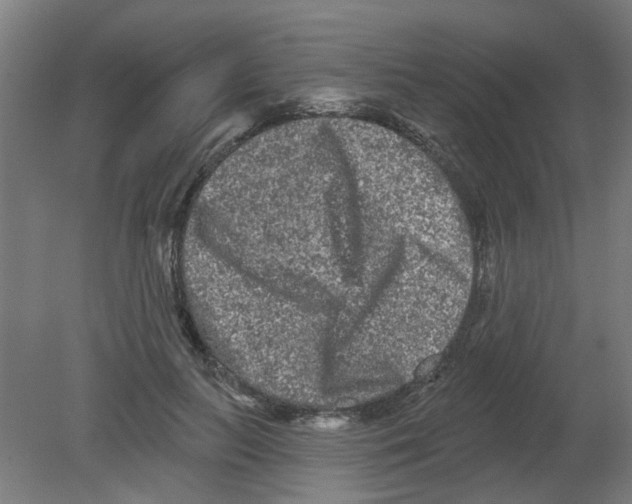 X0000080770647200701122056