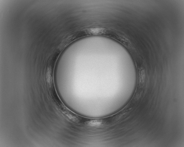 X0000080770651200701122056