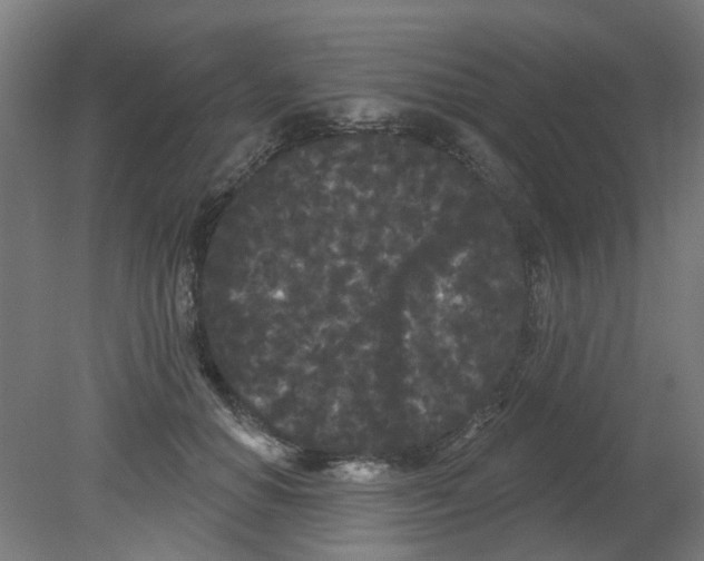 X0000080770654200701122057