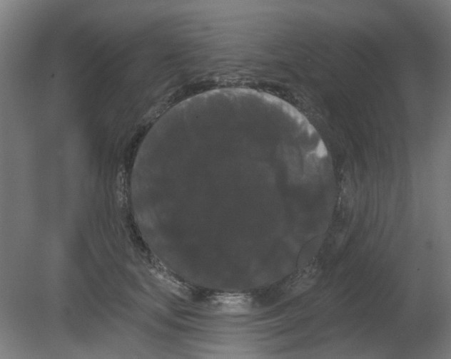 X0000080770659200701122057