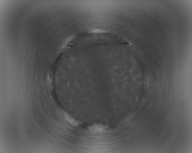 X0000080770661200701122057