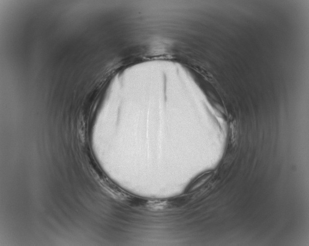 X0000080770662200701122057