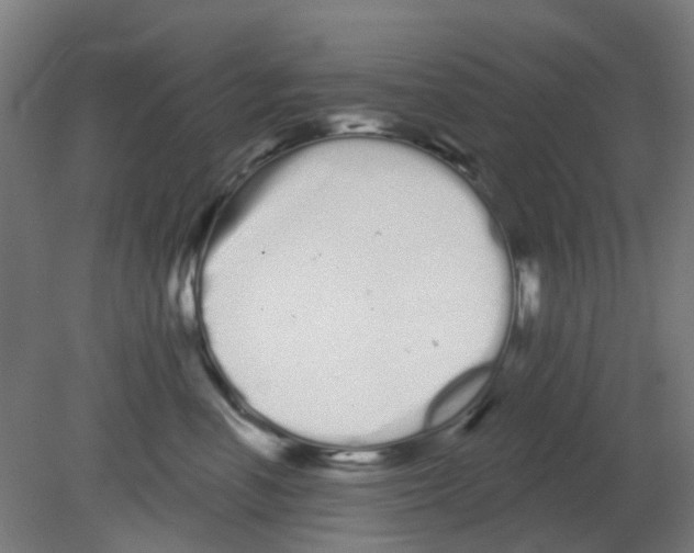 X0000080770666200701122057