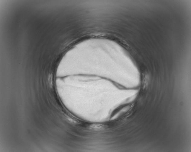 X0000080770668200701122057