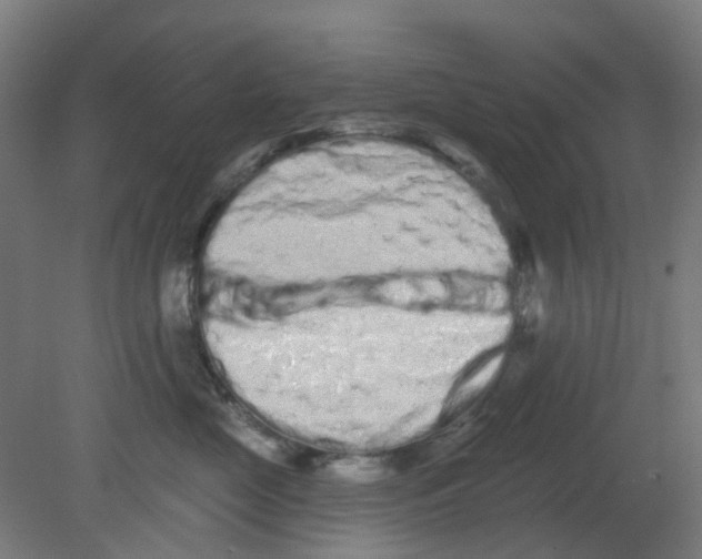 X0000080770669200701122057
