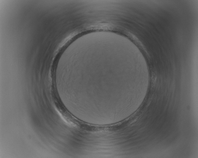 X0000080770674200701122056