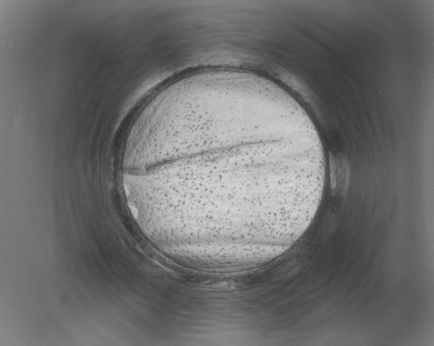 X0000080770675200701122056