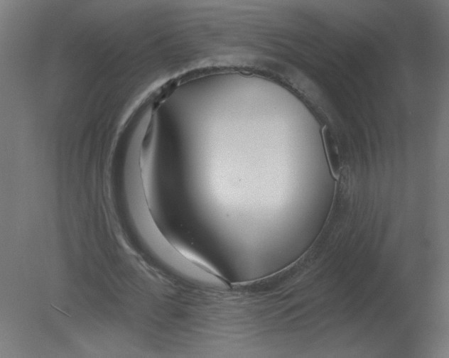 X0000080770676200701122056