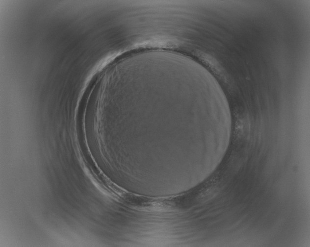 X0000080770678200701122056