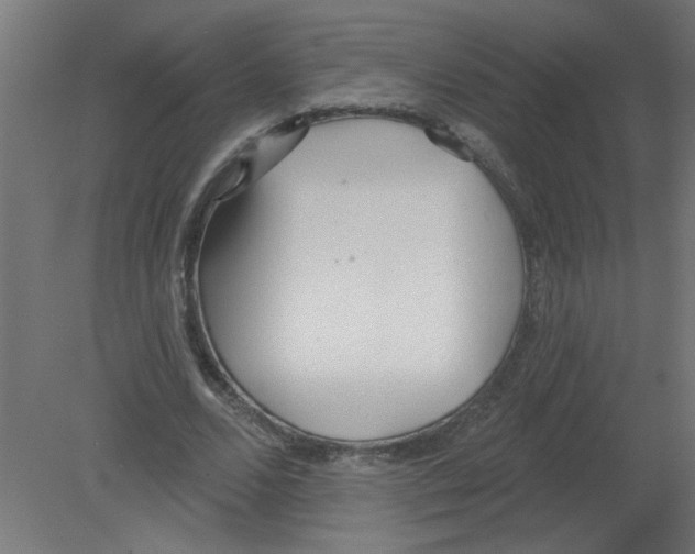 X0000080770680200701122056