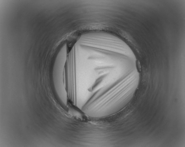 X0000080770681200701122056