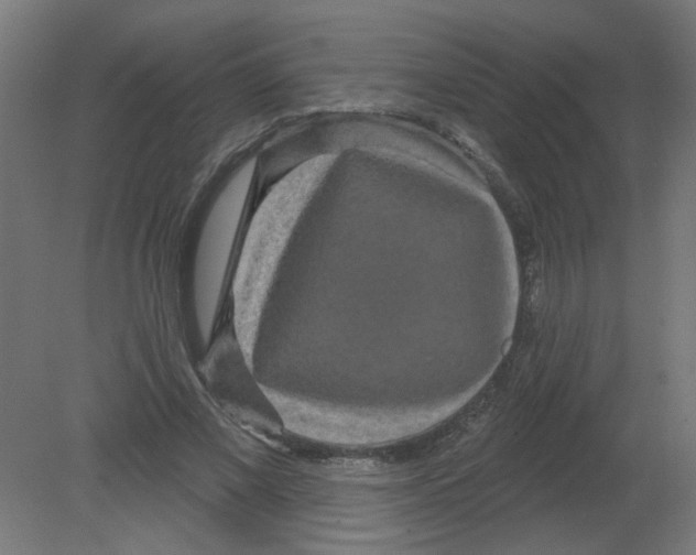 X0000080770685200701122056