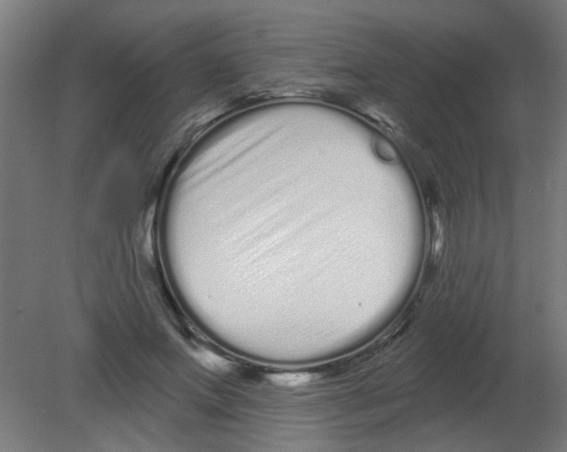 X0000080770687200701122056