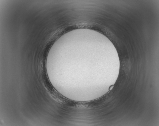X0000080770690200701122056