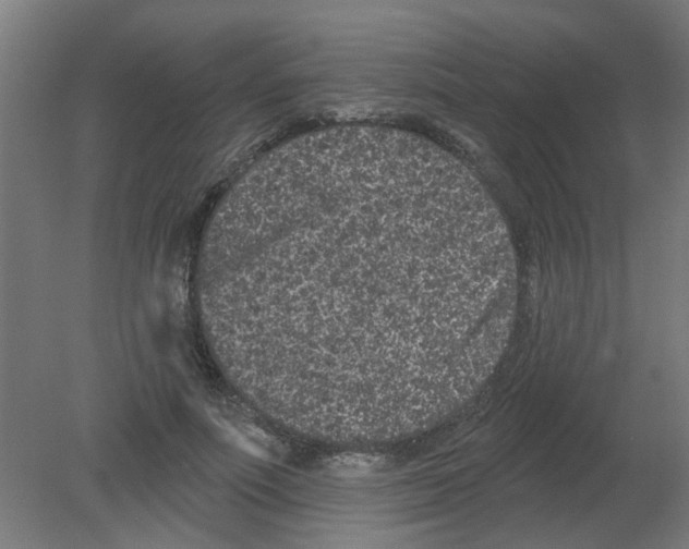X0000080770691200701122056